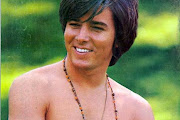 Bobby Sherman