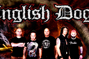 English Dogs
