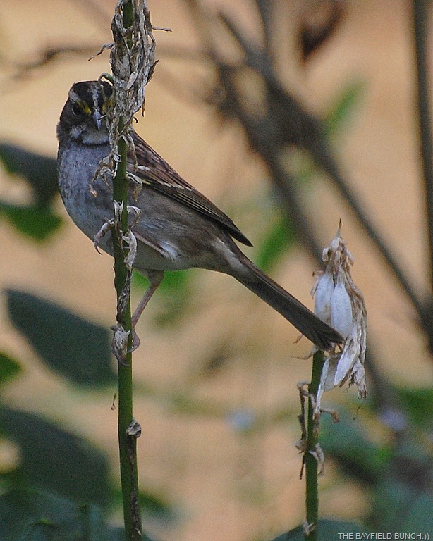 [DSC_7121%255B9%255D.jpg]