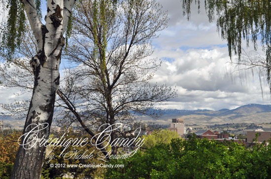 [AOverlookBoise%255B5%255D.jpg]