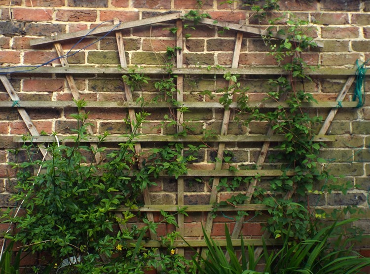 How Does Your Garden Grow…