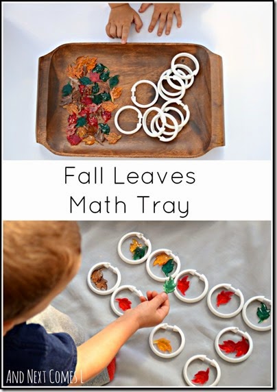 Fall Math Leaf Trays #math #preschool #fall Fall Math Leaf Trays #math #preschool #fall
