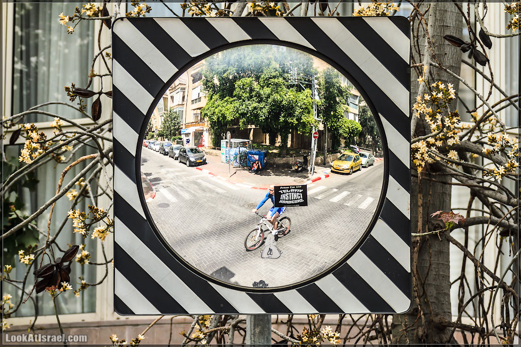 Отражения Израиля | LookAtIsrael.com - Фото путешествия по Израилю