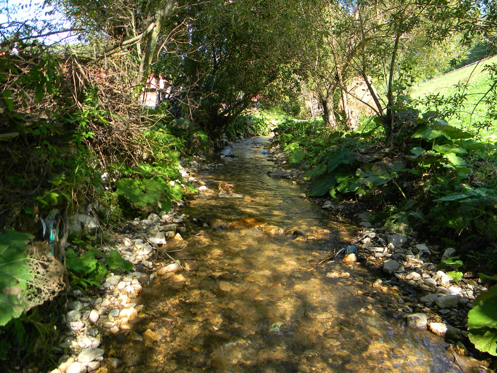 [DSCN53203.jpg]