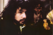 Cat Stevens