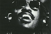 Stevie Wonder