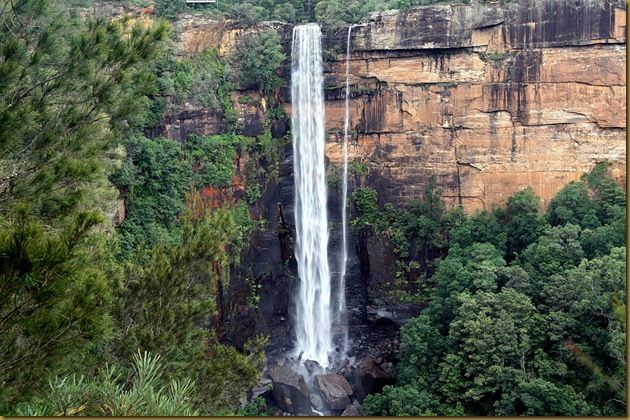 Waterfall - Fitzroy Falls - Australia