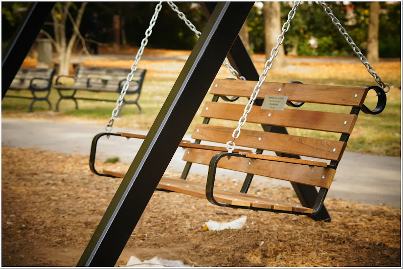 park-swing-free-pictures-1 (2694)