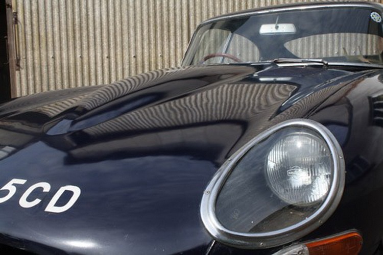 [Jaguar-Coys-5%255B2%255D.jpg]