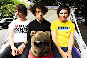 Wombats