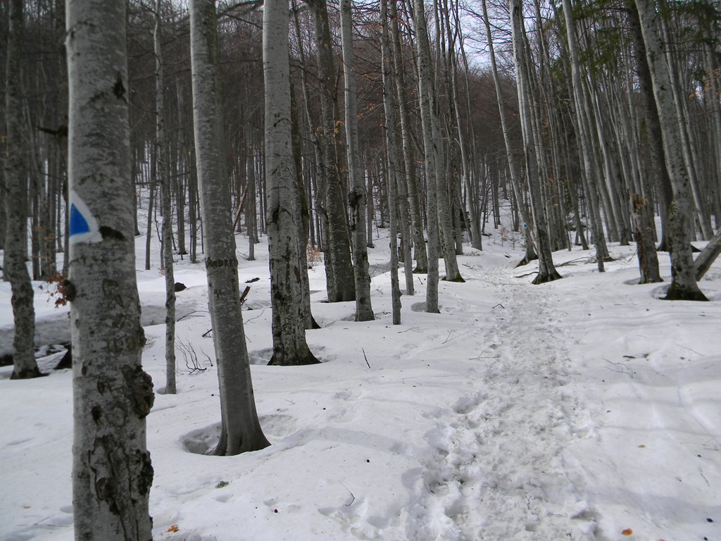 [DSCN63613.jpg]