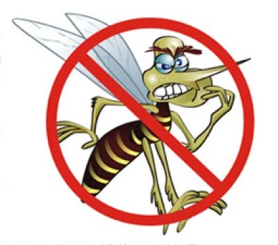 [dengue%255B4%255D.jpg]