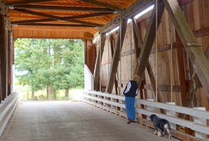 Mo checking out the new roof at Gallon House Bridge near Silverton