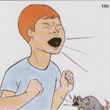145 gritar-chillar.jpg