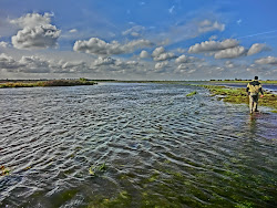 Skjern Au _ Oktober 2012 - 010