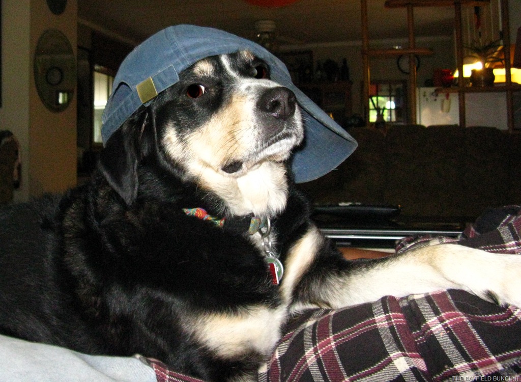 [IMG_3475%255B4%255D.jpg]