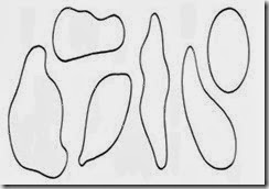9-CIRCULAR SHAPE 9-CIRCULAR SHAPE