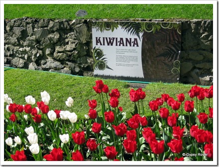 Kiwiana at Wellington Botanical Gardens  as part of the Rugby World Cup.