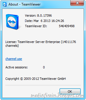 [Team-Viewer-2013-df4.png]
