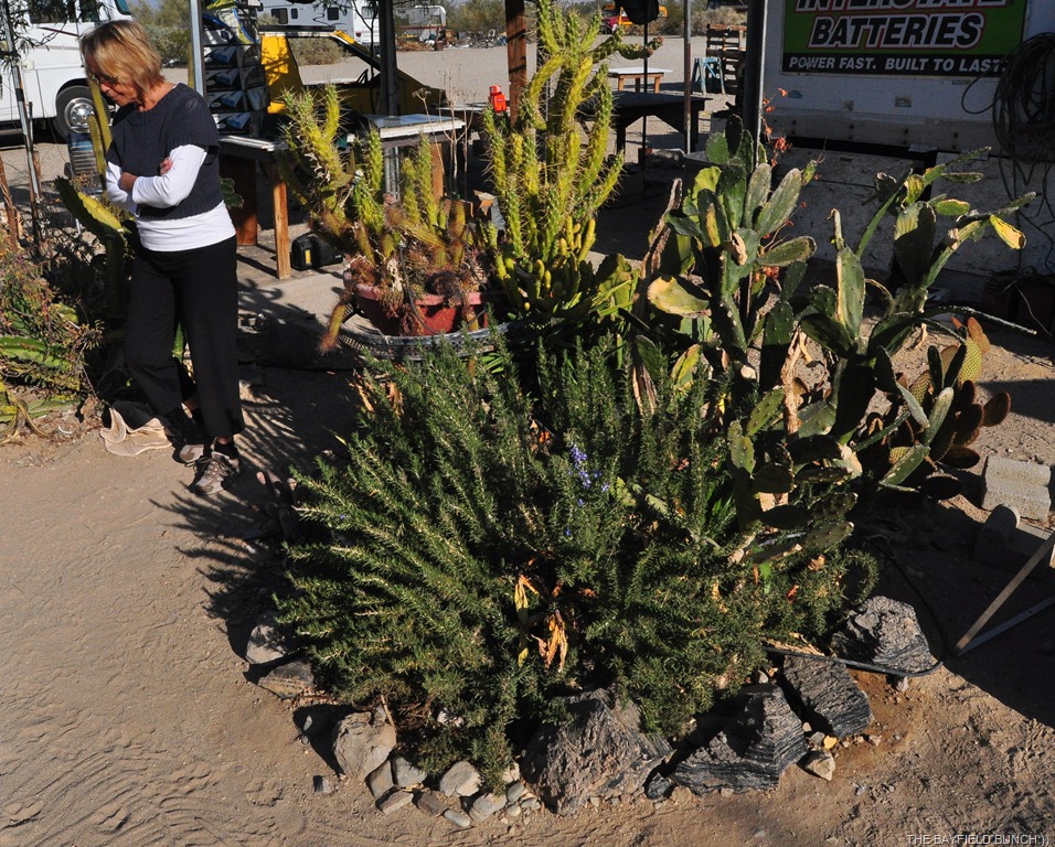 [DSC_0020%255B4%255D.jpg]