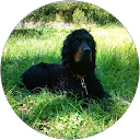 Image Google de Marie Christine Darnaud