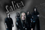 Saliva