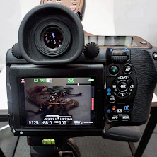 pentax_645_z_25.jpg