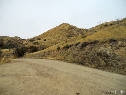 14. canyon rd-kab