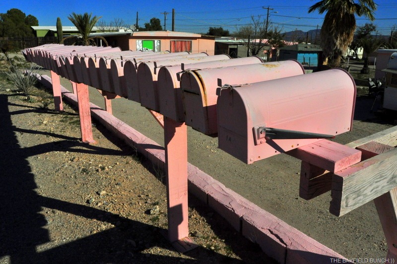 [DSC_0010%255B3%255D.jpg]