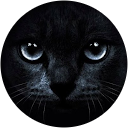 Image Google de SEPHORA DEZY