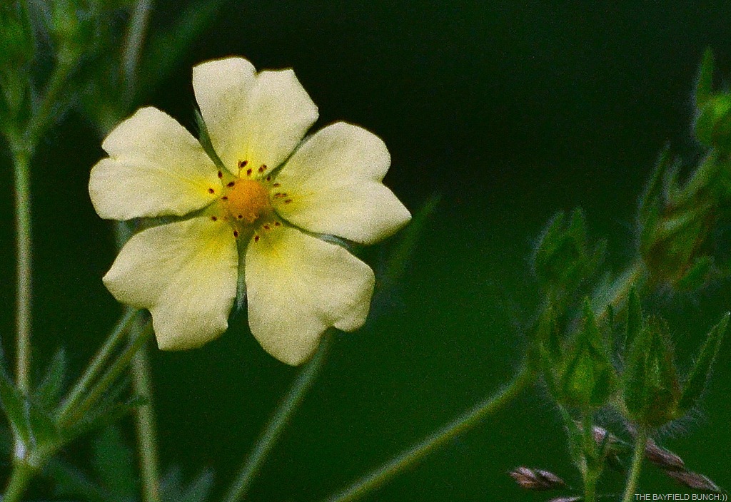 [DSC_00083.jpg]