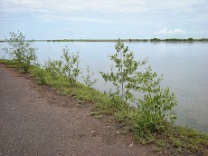 DSCN8492.JPG