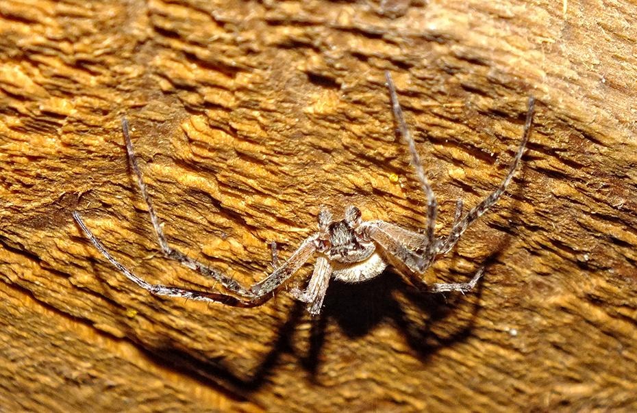 [DSCF1075_re%255B2%255D.jpg]