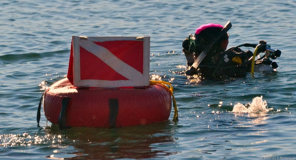 [DSC_0007%255B3%255D.jpg]