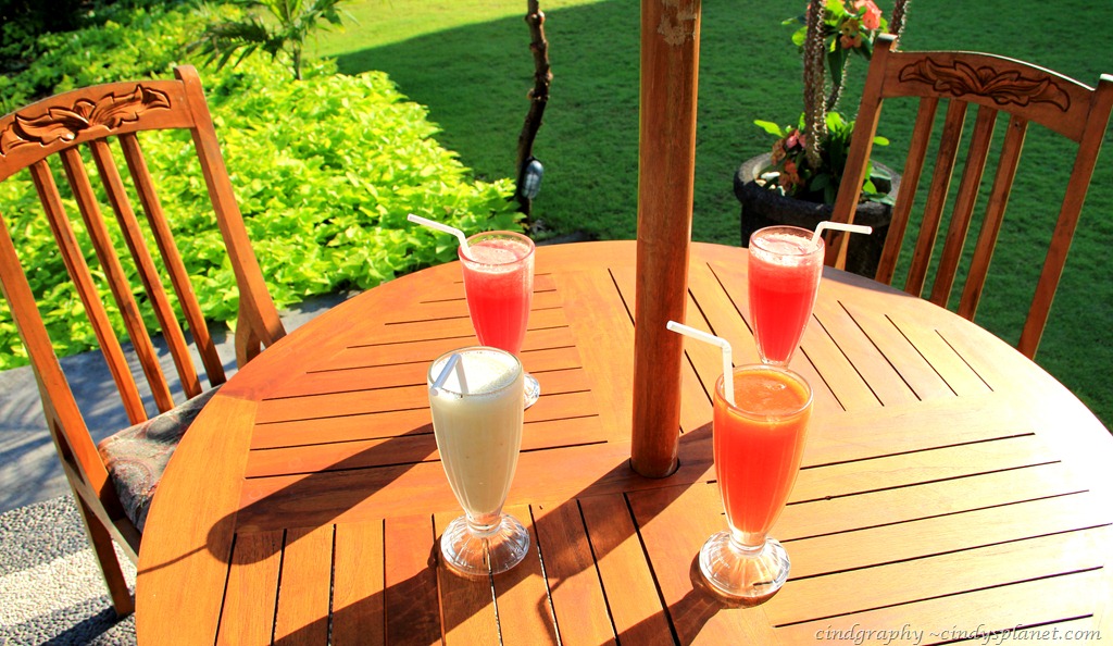 [DPP-Bali-3633.jpg.webp]
