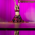 IMG_7341.jpg