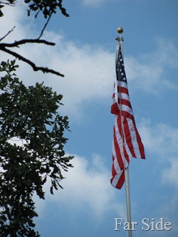 Flag at Bunker Hill