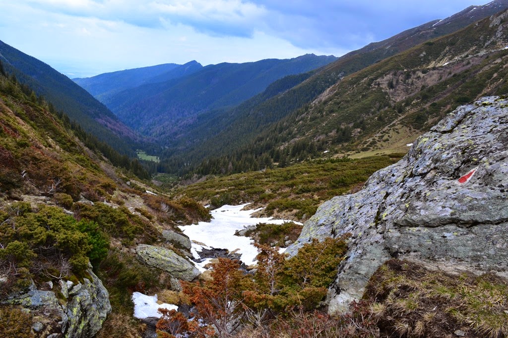 [DSC_89113.jpg]