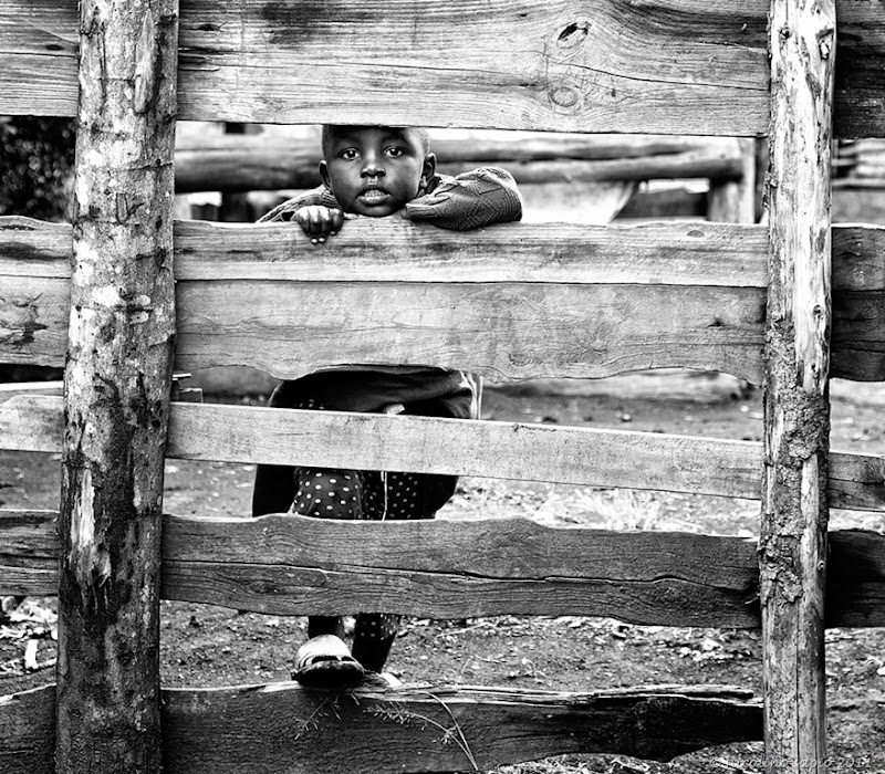 Boy looking through fence IMG_7795 N Sapio