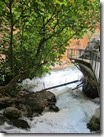 IMG_7961 IMG_7961