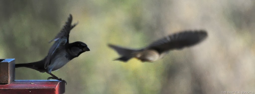 [DSC_0102%255B3%255D.jpg]