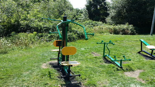 GreenGym Outdoor Fitness Park 