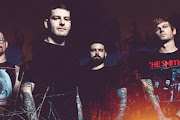 Senses Fail