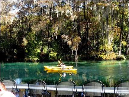 Rainbow River from Swampys restaurant