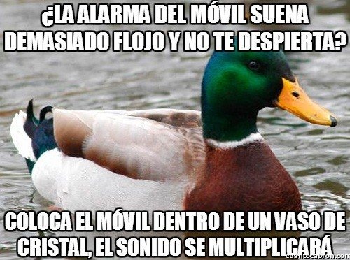 [2%2520patoconsejo%2520cosasdivertidas%2520info%2520%25288%2529%255B2%255D.jpg]
