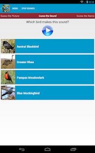 South American Birds Sounds Screenshots 12