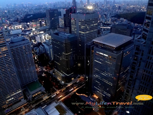 [Tokyo-Metropolitan-Government-buildi%255B82%255D.jpg]