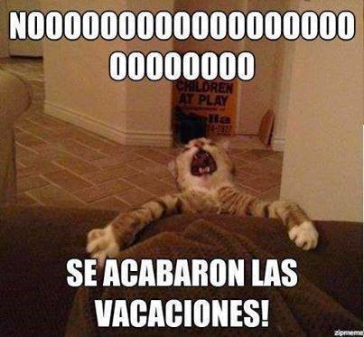 [humor%2520facebook%2520%25281%2529%255B2%255D.jpg]