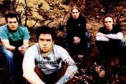 12 Stones