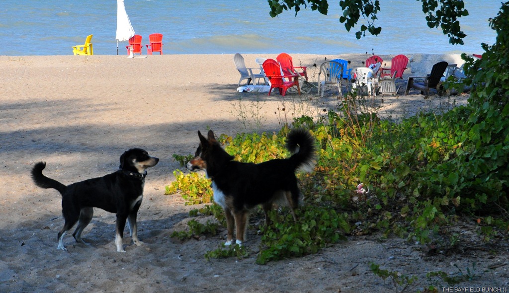 [DSC_0004%255B9%255D.jpg]